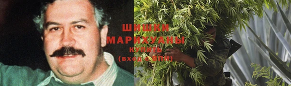 молекула духа Арсеньев