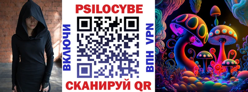 как найти наркотики  ОМГ ОМГ ссылки  Псилоцибиновые грибы мицелий  Северо-Курильск 