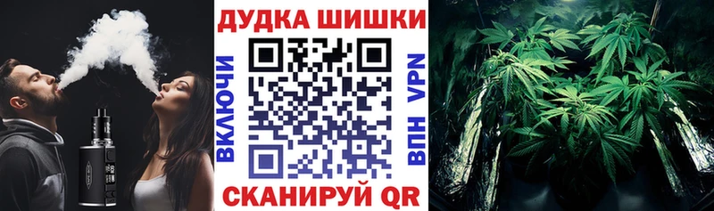 Бошки Шишки планчик Северо-Курильск